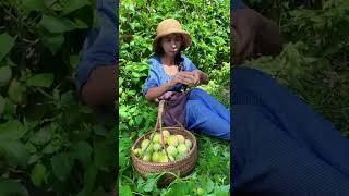 Enjoy beautiful nature with rural life # 246