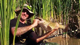 Fishing For Flatheads With CatfishBill66 And PGH Bottomfeeders