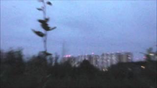 Avian dissuader против чаек
