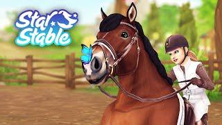 will auf Level 16!  SSO STAR STABLE 