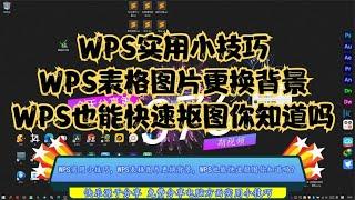 WPS实用小技巧，WPS表格图片更换背景，WPS也能快速抠图你知道吗