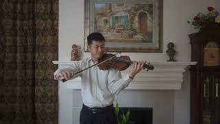 Brahms Violin Concerto in D Major 1st Mvt Violin Solo Eugene Liu