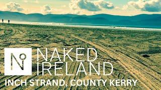 Inch Beach, Dingle Bay, County Kerry. What an absolute cracker! Even in Autumn it looks spectacular!