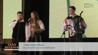 Hallo kleine Maus - Saso Avsenik und seine Oberkrainer LIVE