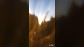 EPIC FAIL Fell in Deep Water Picking Up Litter