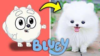 BLUEY  en la VIDA REAL 
