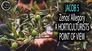 Jacob 5 Zenos' Allegory of The Olive Trees - Horticulturists Perspective