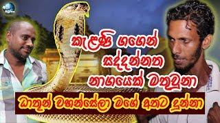 නාග ලෝකයෙන් කැලණියට වැඩි ධාතූන් - Kelaniya Temple Naga Lokaya