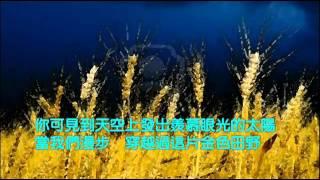 Eva Cassidy - Fields of Gold