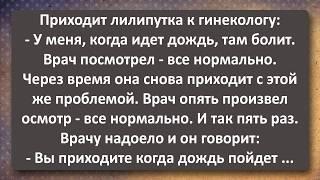 Лилипутка! Лучшие Анекдоты Всех Времен!
