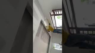 IMG 4185