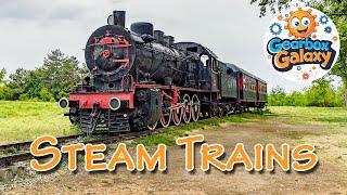 All Aboard! Steam Train Songs for Kids