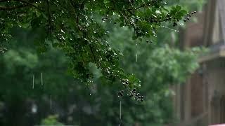 Rainy Day: 10 Hrs of Tranquil Sound for Sleep, Meditation, Stress Relief, and Yoga