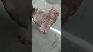 Rakesh kumar #song #shortvideo