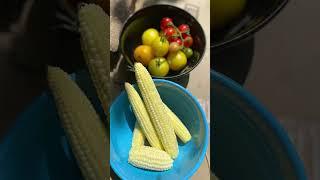  #Gardening #epic gardening #Zone5 garden update