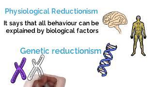 Reductionism vs Holism (Psychology Debate Explained) #Alevel