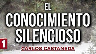 EL CONOCIMIENTO SILENCIOSO | C. Castaneda | Parte 1 | Audiolibro completo | Español, voz humana