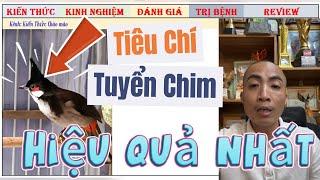 Cách Tuyển Chào mào Thi Đấu với Tiêu Chí thế nào là Chuẩn nhất?