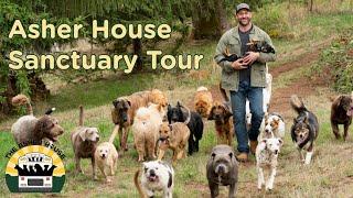 Full Asher House Tour! A behind the scenes look at the sanctuary | The Asher House