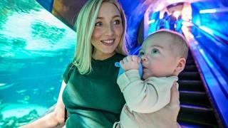 Babies First Time At The Aquarium!!