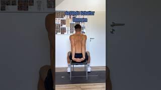 Gesunde Schulter Übungen #dkhealth #fit #gesund #fitness #mobility #training #shorts