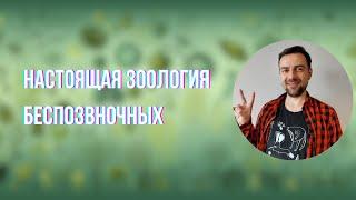 Беспозвоночные: современные подходы к изучению животных | Дмитрий Нечаев