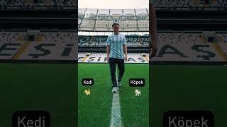 O mu? Bu mu? ⬅️‍️️ 3. bölümde yeni transferimiz Jonas Svensson'u yakından tanıyalım! 