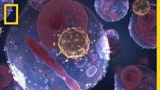 AIDS 101 | National Geographic