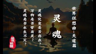 灵魂—灵魂究竟是否存在？万物是否皆有灵？灵魂是否永生不灭？｜天道篇｜临渊