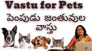 Vastu for Pets | Vastu by Sreepadma Vastu consultant | Edifice Vastu Consultancy |