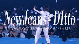 NewJeans - Ditto 하니 직캠ㅣ얘들아 울지마ㅠㅠㅠ ㅣ Ditto 가 메타몽이라는 사실 알고 계셨나용? ㅣ240627 BUNNIESCAMP | TOKYO DOME | ハニ