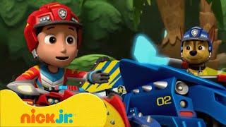 PAW Patrol | Die besten DINOSAURIER-Rettungsmissionen bei PAW Patrol!  | Nick Jr. Deutschland