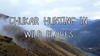 UNREAL Chukar Hunting in WILD PLACES!
