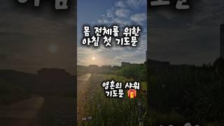잘잘법 김기석 목사님 기도문 청파교회 아침 첫 기도문 몸 전체를 위한 기도 내 기도하는 그 시간 찬송가 364장 찬송 찬양 연주 성경 낭독 성경 통독 성경 읽기 오디오 바이블 기도