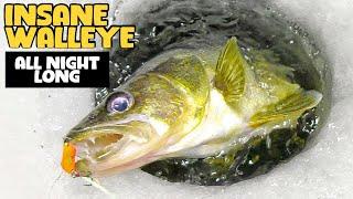 Insane Walleye Fishing All Night Long