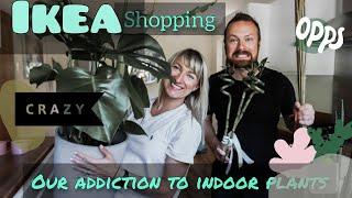 Our Houseplants addiction/ Shopping in IKEA/ Organising our garden :)