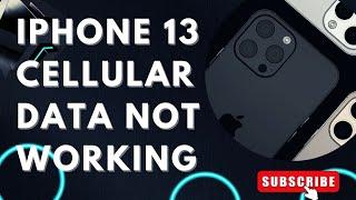 How To Fix The iPhone 13 Cellular Data Not Working Issue