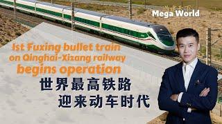 First Fuxing bullet train on Qinghai-Xizang railway begins operation