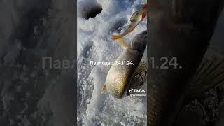 Рыбачим #fishing #рыбалка #carpfishing #рыба #топ #щука #карп #carp #собака #озеро