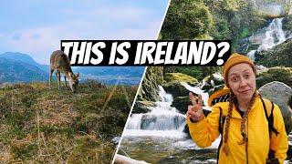 The MOST BEAUTIFUL PLACE IN IRELAND | VANLIFE in Killarney (The Ring of Kerry)