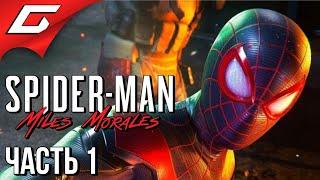 ЧЁРНЫЙ ЧЕЛОВЕК ПАУК  Spider Man: Miles Morales  Прохождение #1