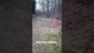 Bohnický Hřbitov