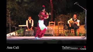 Ana Calí, bailaora y maestra de flamenco, Taller Flamenco de Graná