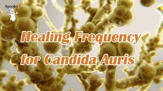 Healing Frequency for Candida Auris - Spooky2 Rife Frequencies