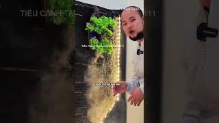 TIỂU CẢNH THÁC NƯỚC PHONG THỦY PHONG TÁN THỦY TỤ | Taka Home Vinazon