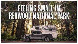 Getting Lost in Redwood National Park in our Lance 825 Truck Camper