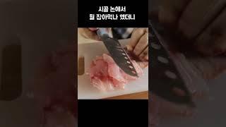 시골 논에서 뭘 잡아먹나 했더니 #골라듄다큐 #Shorts