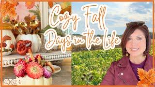 COZY October VLOG | Quick & Easy Harvest Soup | Healthy Pumpkin Treat | Festive Hay Ride & Pumpkins