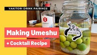 Yakitori Drink Pairings: Making Umeshu At Home PLUS Passionfruit Umeshu Cocktail