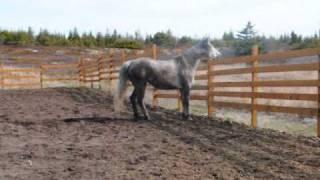 Montage on the spot.wmv